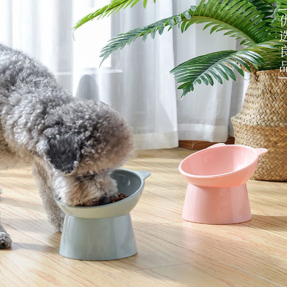 Elevated Tilted Cat Food Bowl Ergonomic Raised Feeder