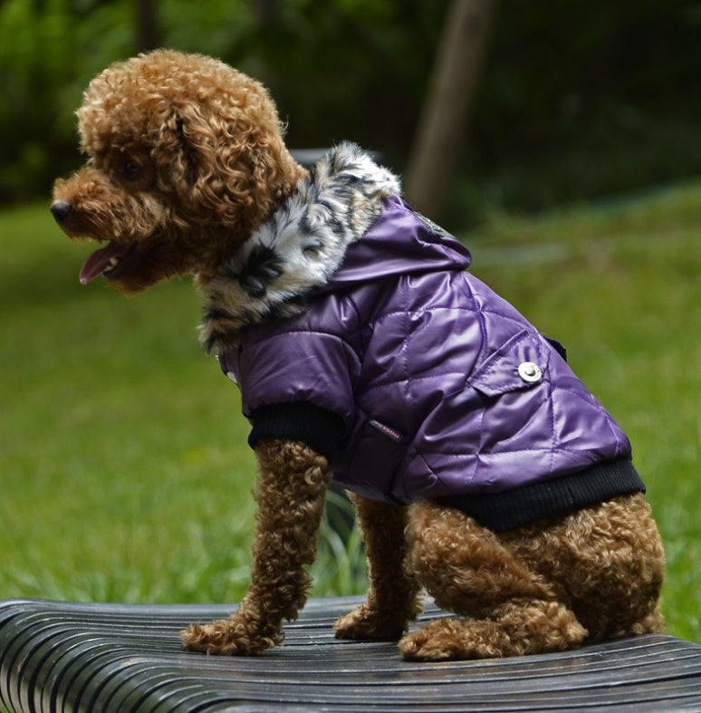 Autumn Winter Fur Collar Dog Coat Warm Clothing