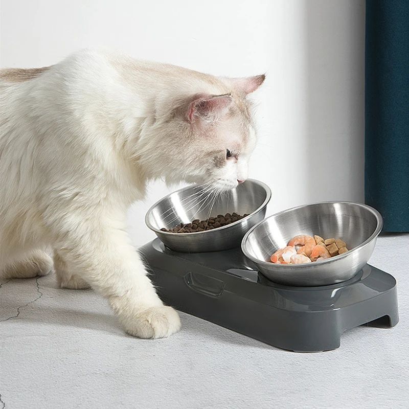 Stainless Steel Pet Food Water Bowl with Stand