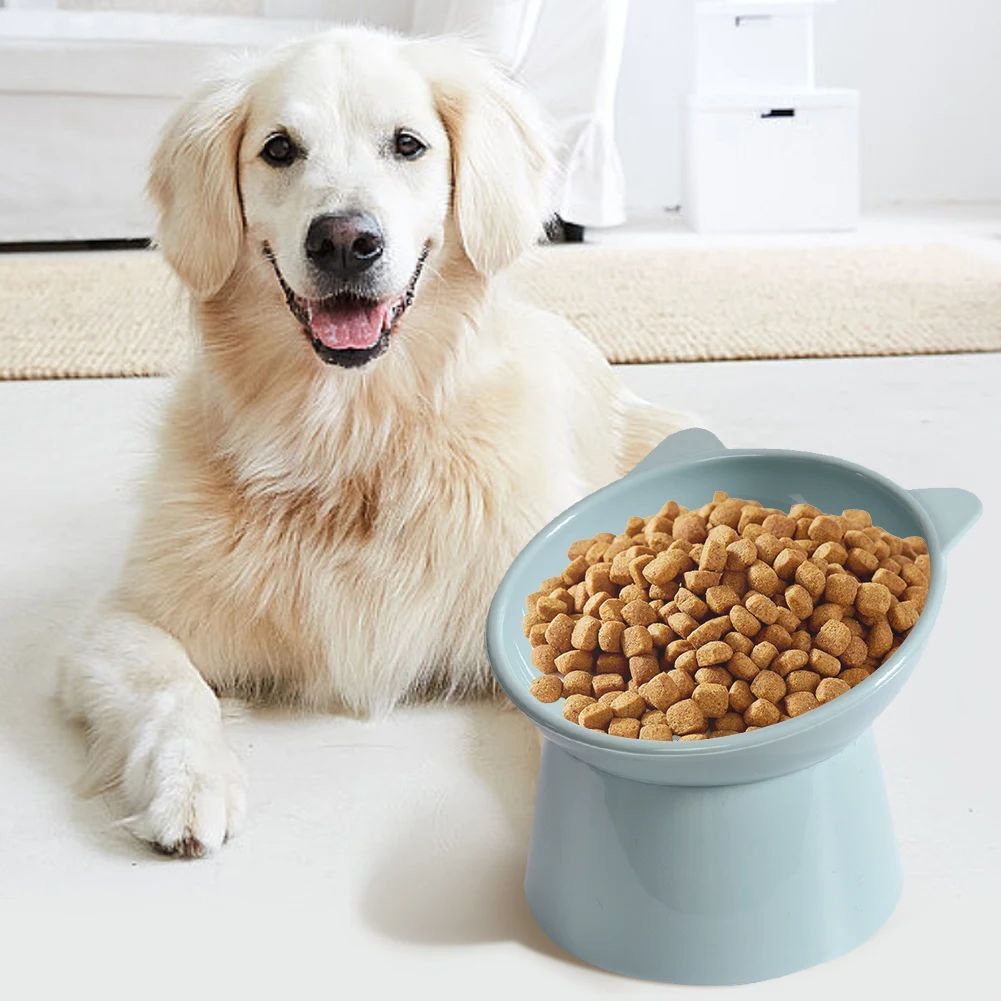 Elevated Tilted Cat Food Bowl Ergonomic Raised Feeder