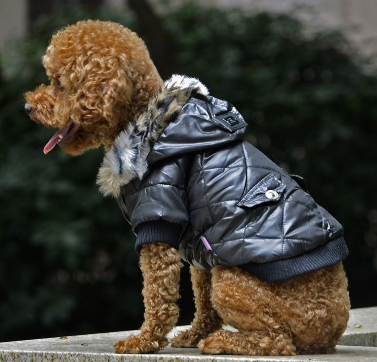 Autumn Winter Fur Collar Dog Coat Warm Clothing