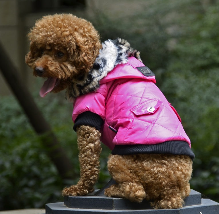 Autumn Winter Fur Collar Dog Coat Warm Clothing