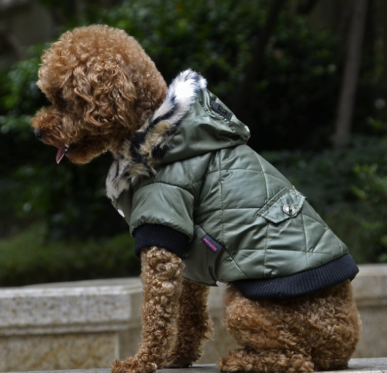 Autumn Winter Fur Collar Dog Coat Warm Clothing