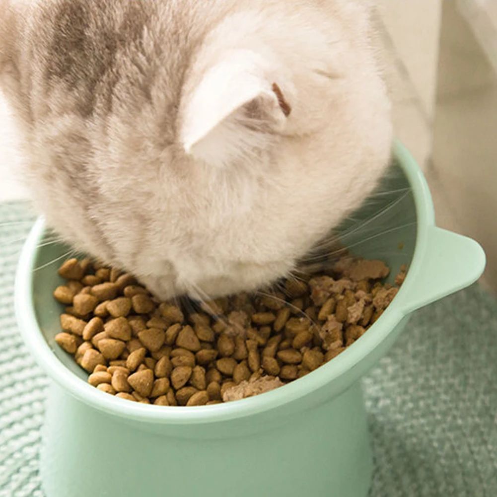 Elevated Tilted Cat Food Bowl Ergonomic Raised Feeder