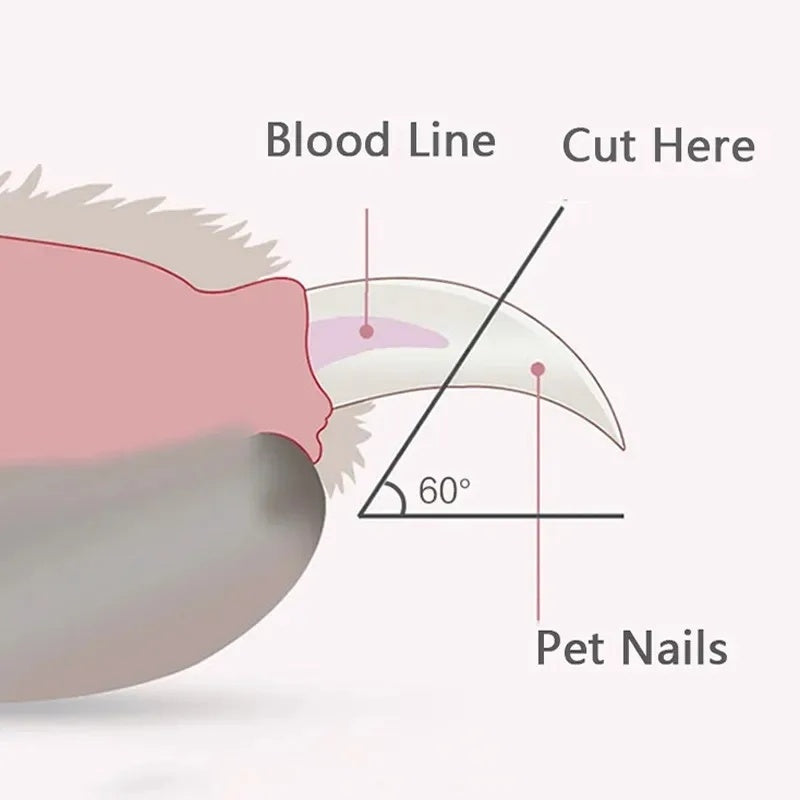 LED Light Pet Nail Clippers for Cats Dogs
