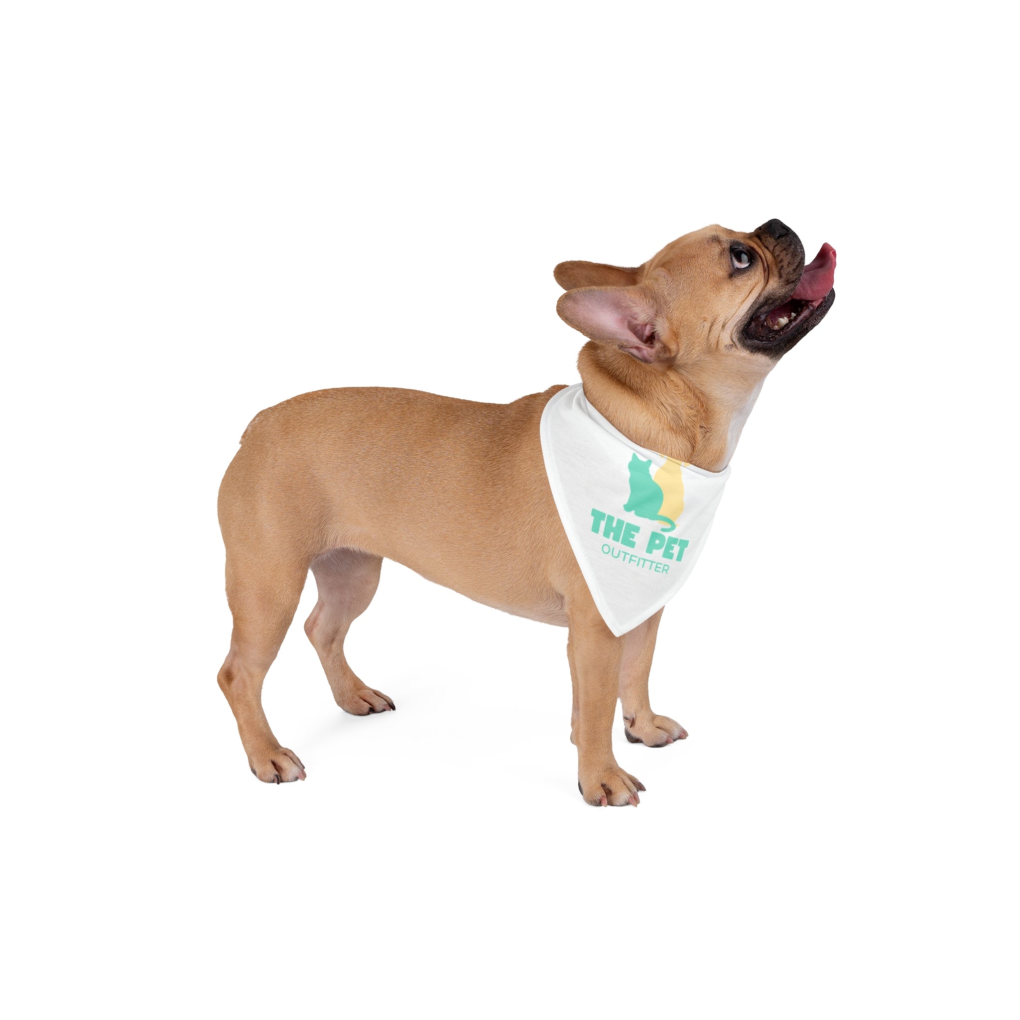 Pet Bandana — The Pet Outfitter Logo Dog & Cat Bandana