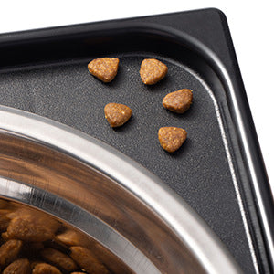 Elevated Dog Feeding Bowl Neck Protection Anti Tumble