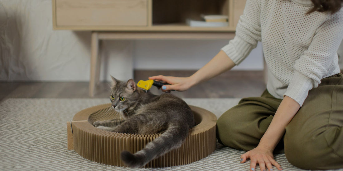 A gray tabby cat lies on a round cardboard scratcher while a woman in a white sweater and olive pants gently brushes its back with a yellow pet brush in a cozy indoor setting.