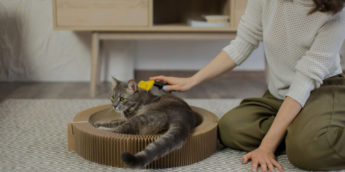 A gray tabby cat lies on a round cardboard scratcher while a woman in a white sweater and olive pants gently brushes its back with a yellow pet brush in a cozy indoor setting.