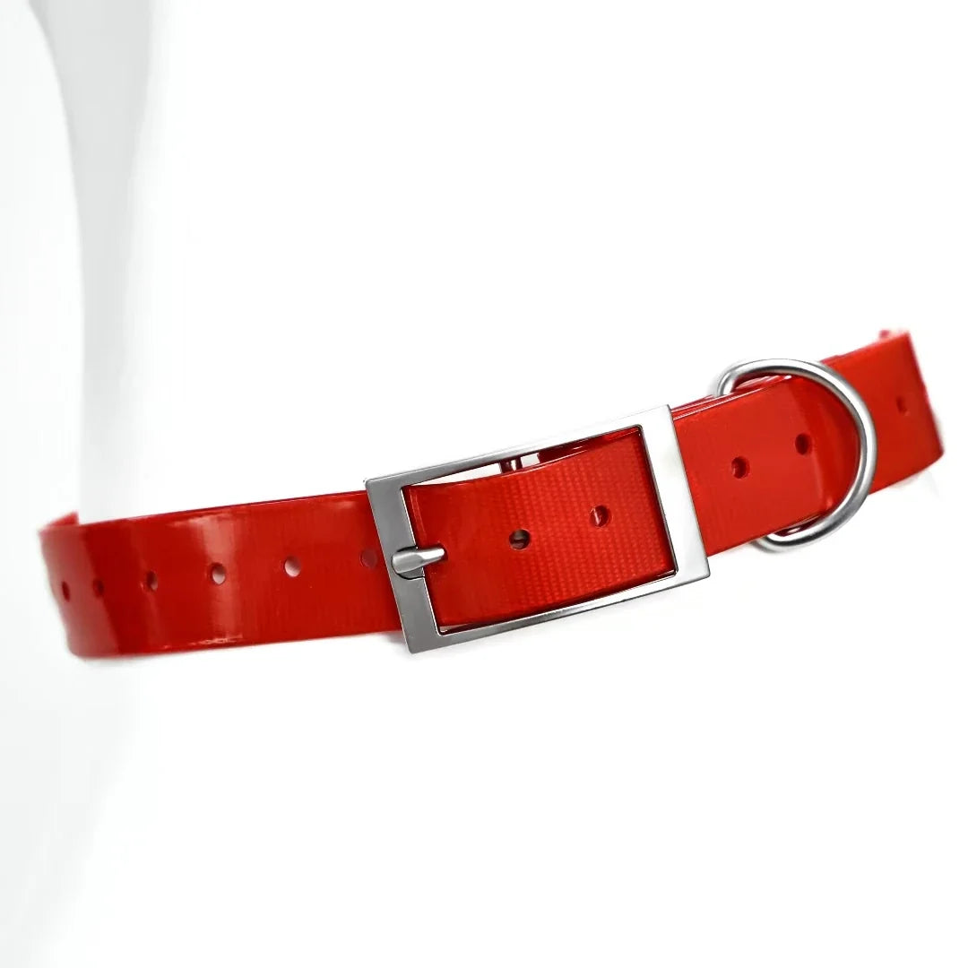 Heavy Duty Waterproof TPU Dog Collar Adjustable Outdoor