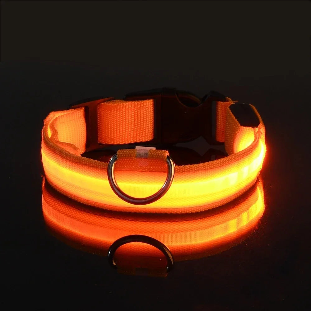 Nylon LED Flashing Glow Dog Collar for Night