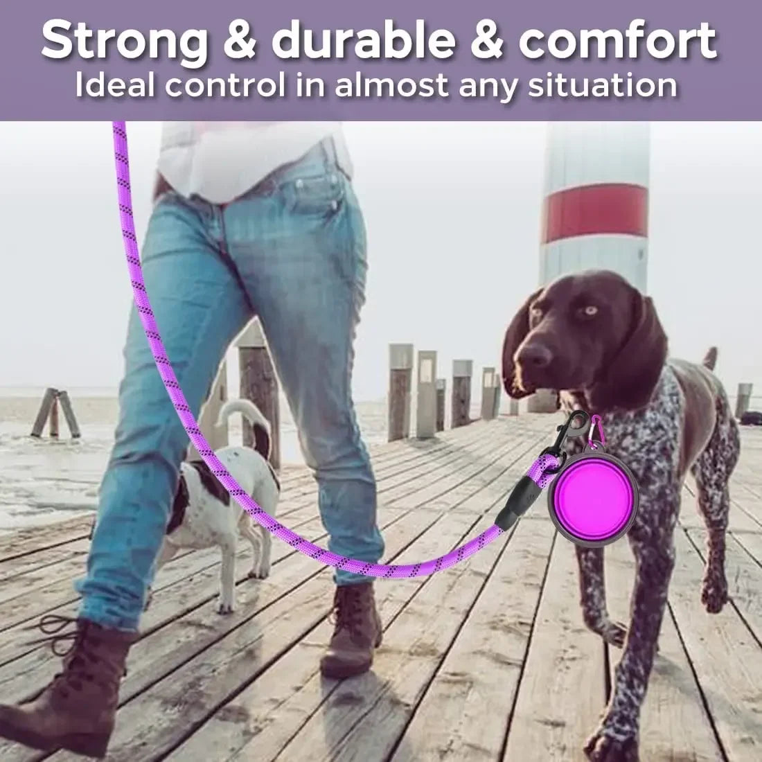 Strong Reflective Dog Leash for Small Medium Large