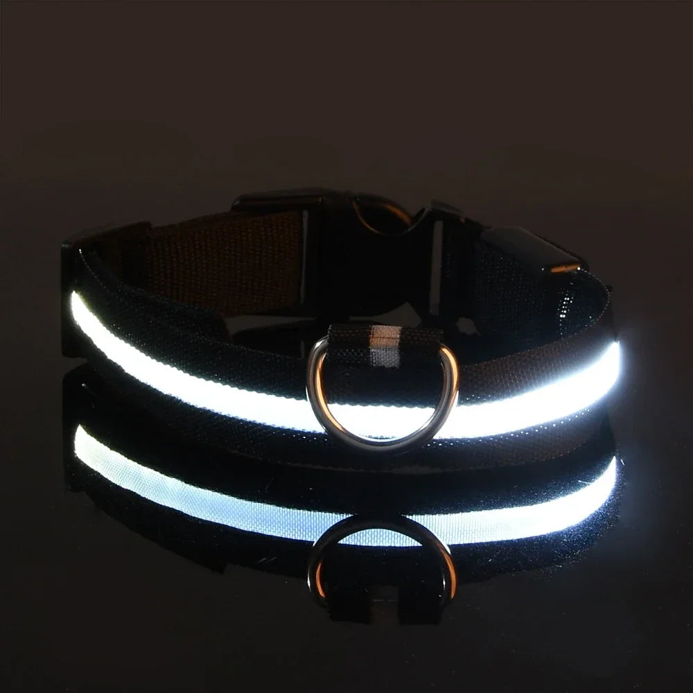 Nylon LED Flashing Glow Dog Collar for Night