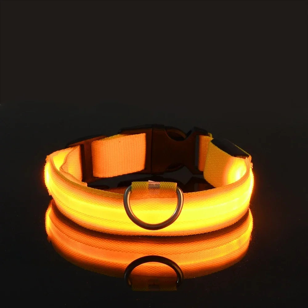 Nylon LED Flashing Glow Dog Collar for Night