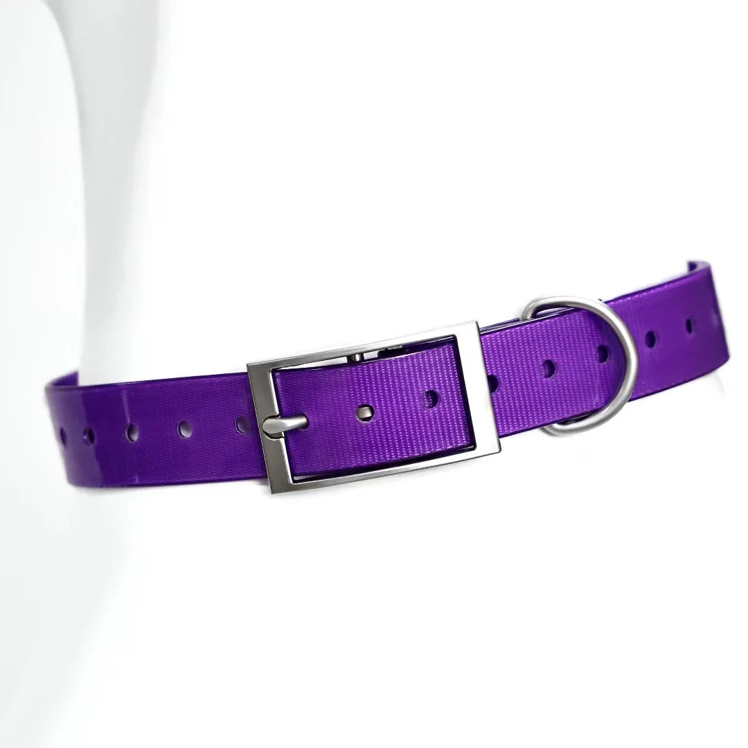 Heavy Duty Waterproof TPU Dog Collar Adjustable Outdoor