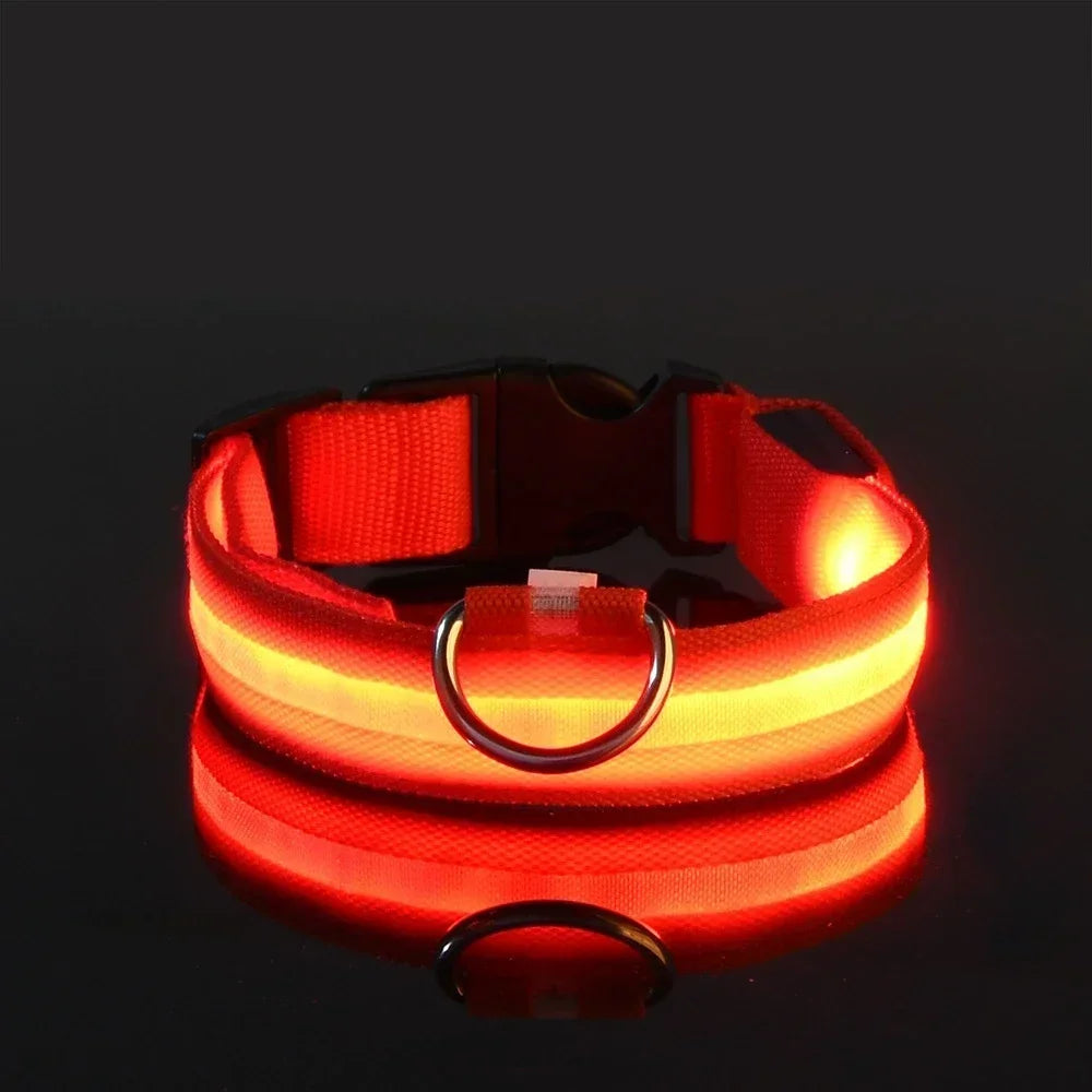 Nylon LED Flashing Glow Dog Collar for Night
