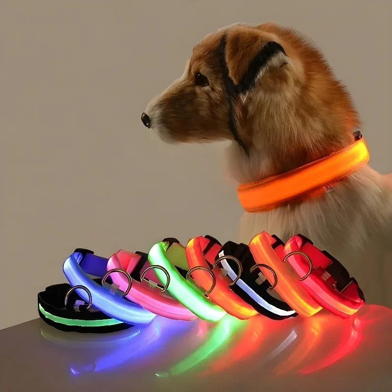 Nylon LED Flashing Glow Dog Collar for Night