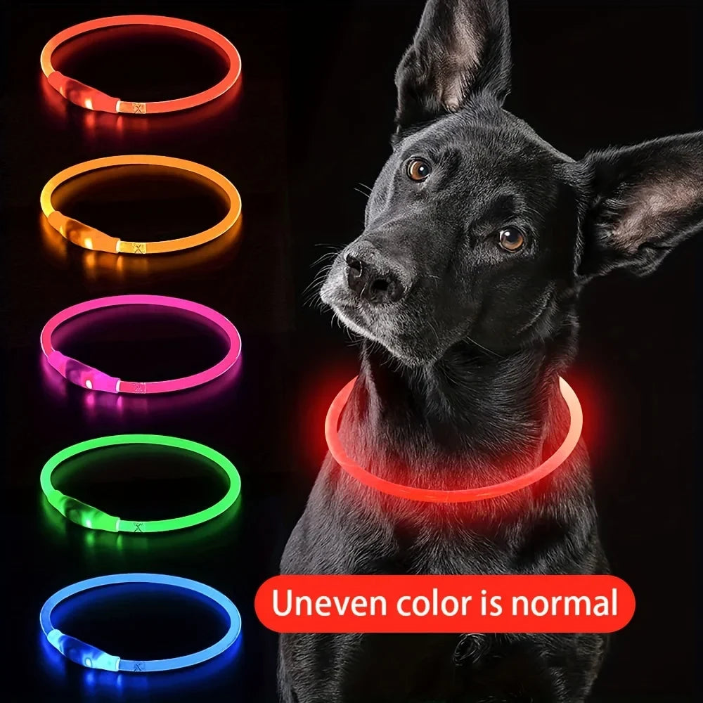 USB Rechargeable LED Light Luminous Dog Collar