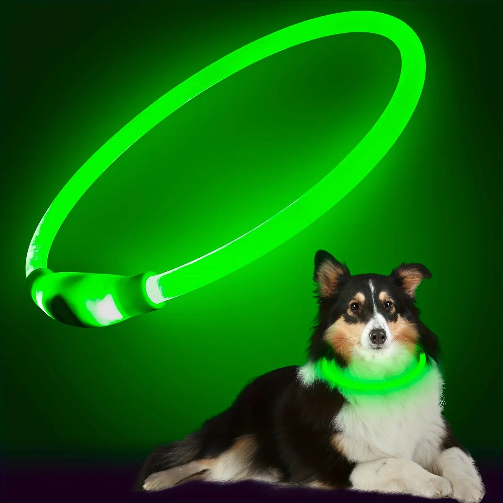 USB Rechargeable LED Light Luminous Dog Collar