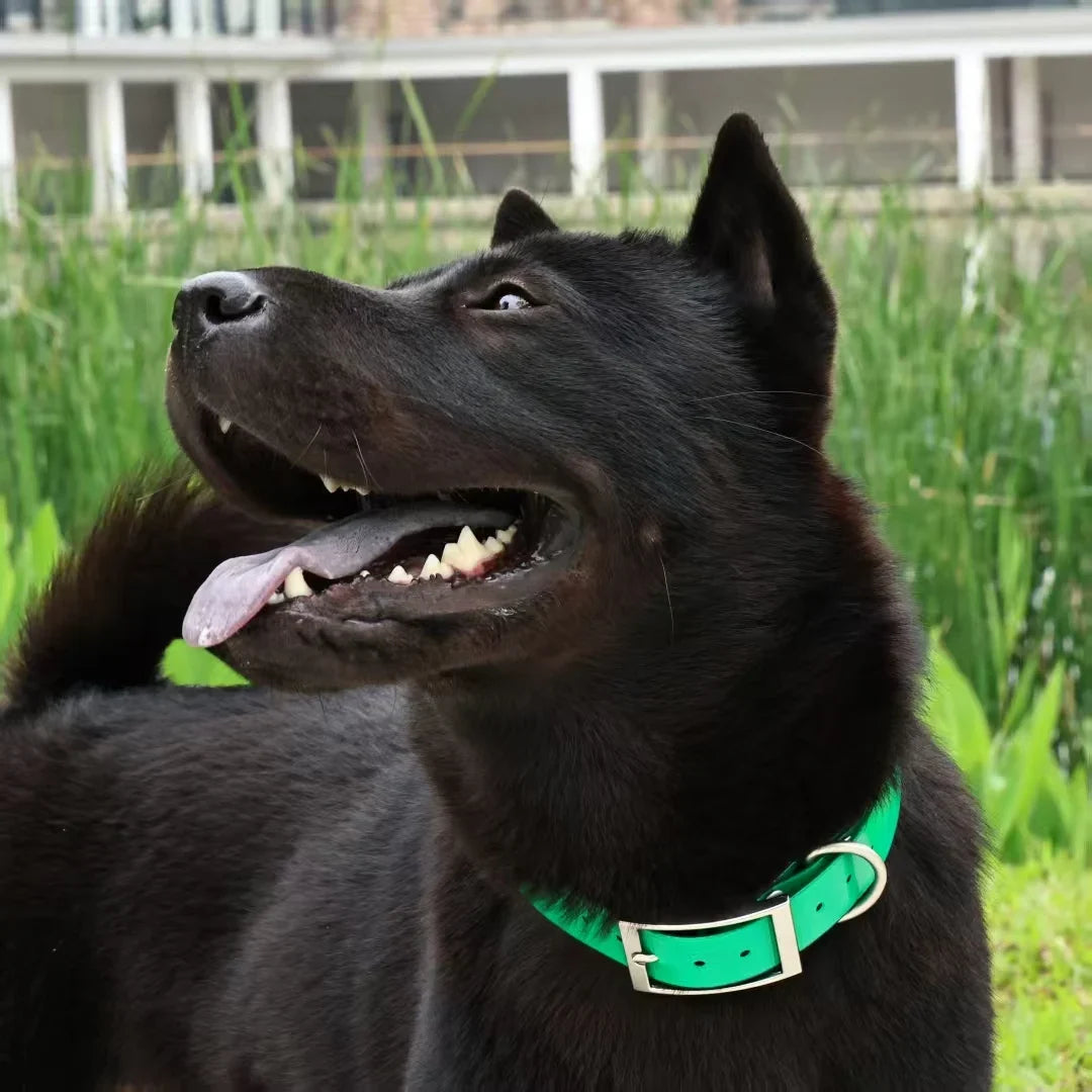 Heavy Duty Waterproof TPU Dog Collar Adjustable Outdoor