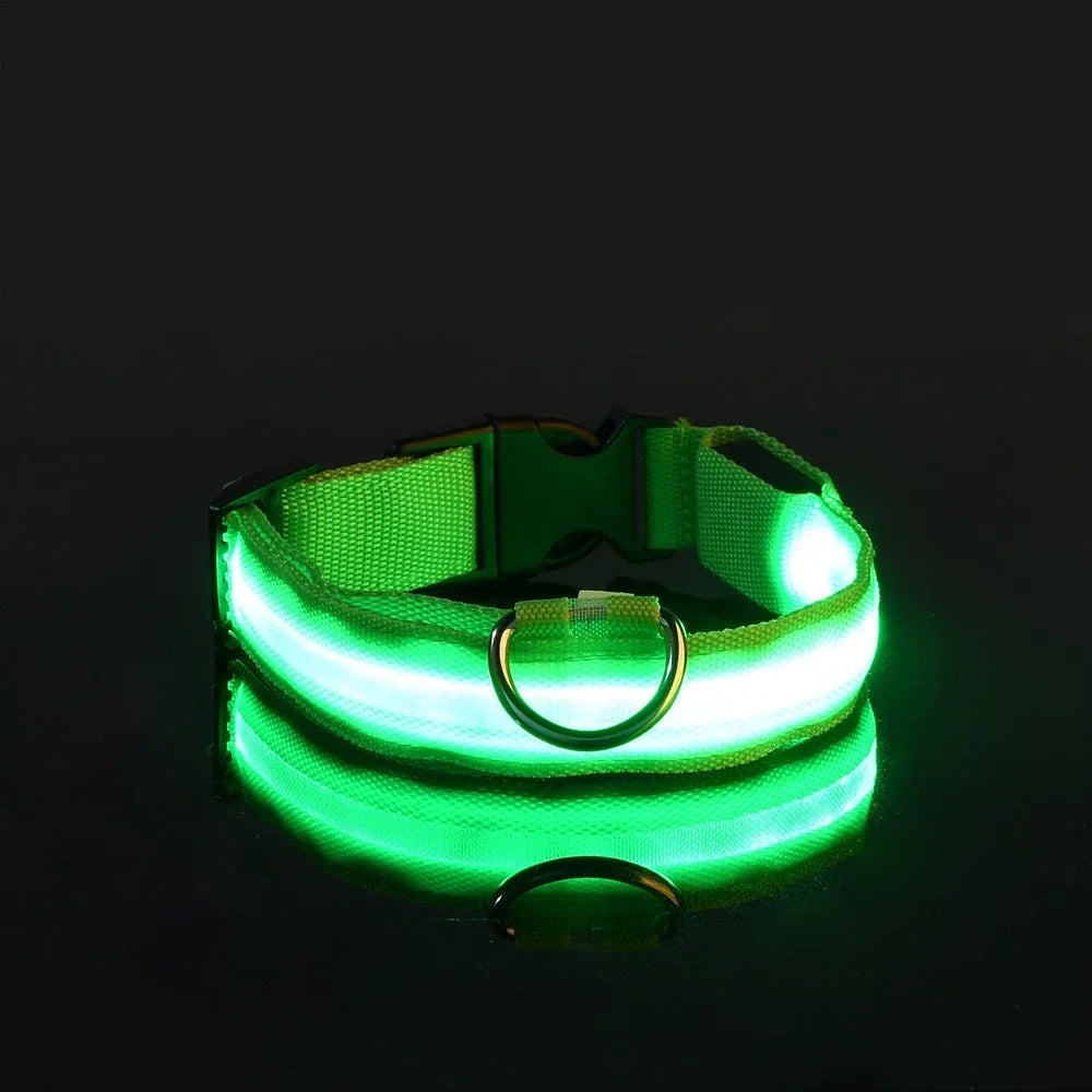 Nylon LED Flashing Glow Dog Collar for Night