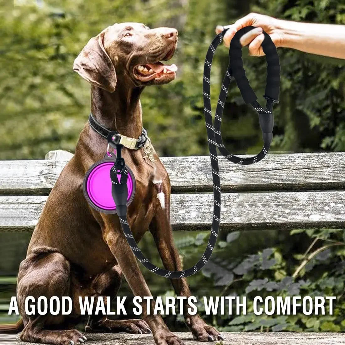 Strong Reflective Dog Leash for Small Medium Large
