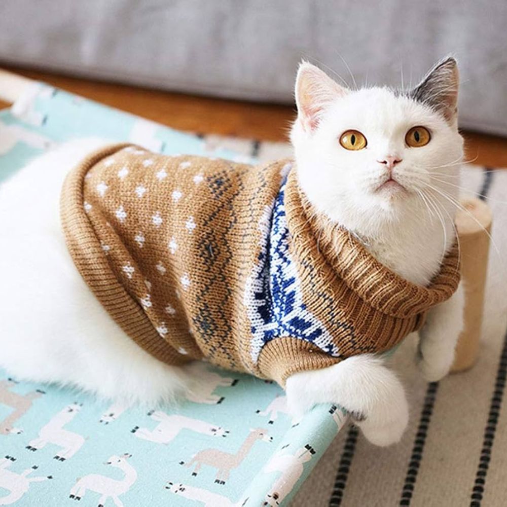 Cat wearing a brown sweater with white polka dots on a patterned surface.