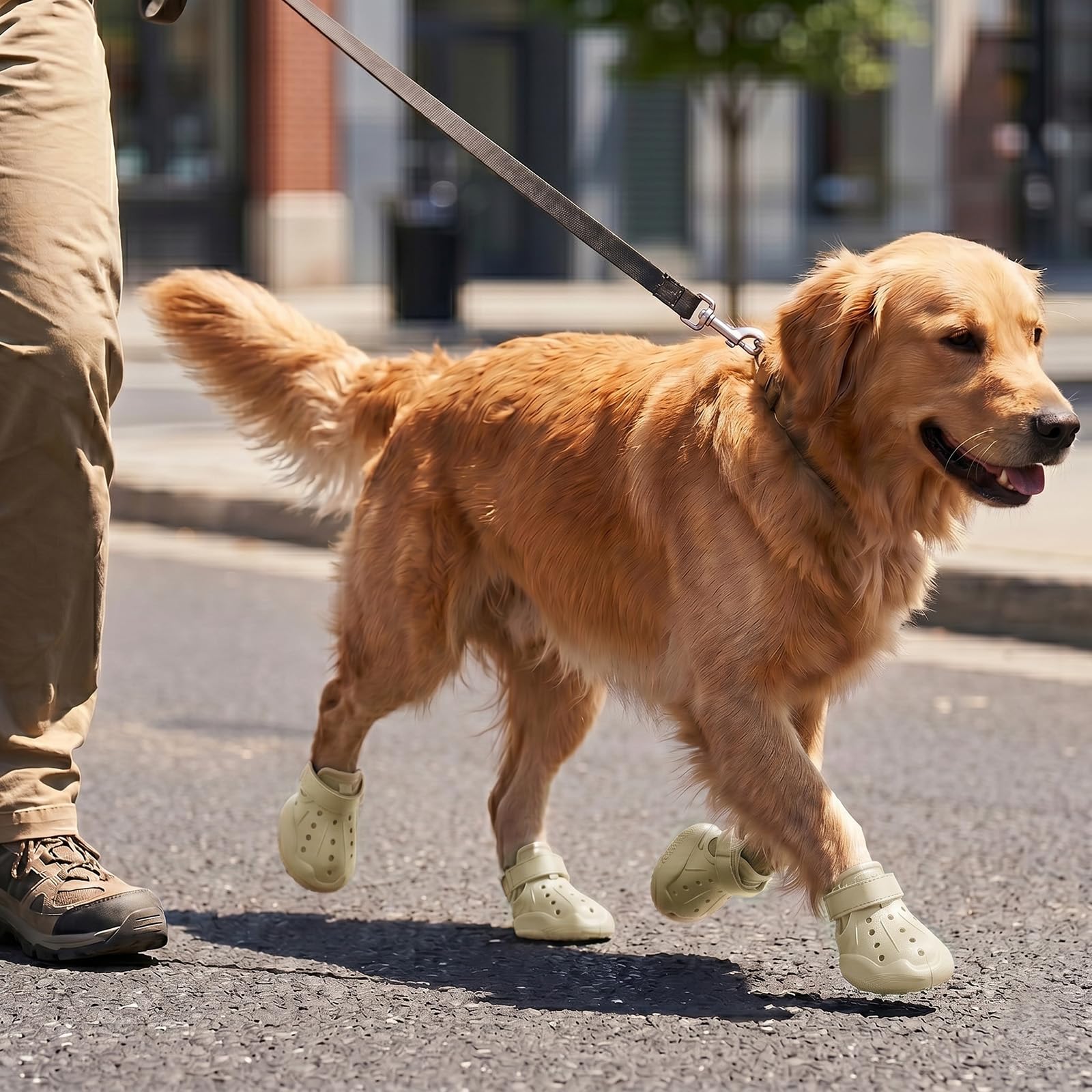 Waterproof Breathable Dog Shoes for Summer Rain Protection