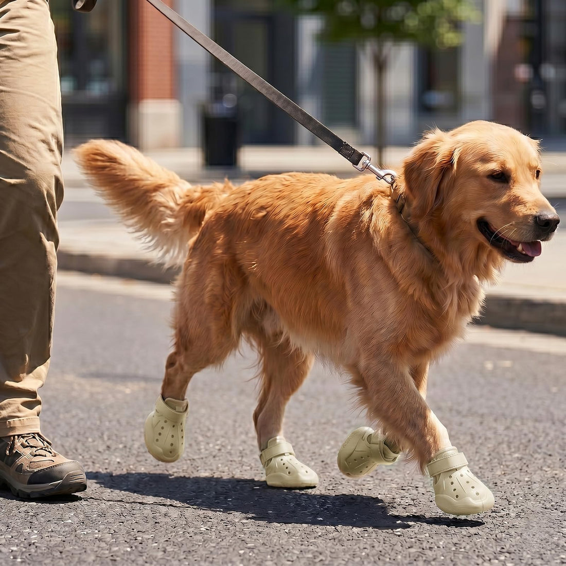 Waterproof Breathable Dog Shoes for Summer Rain Protection