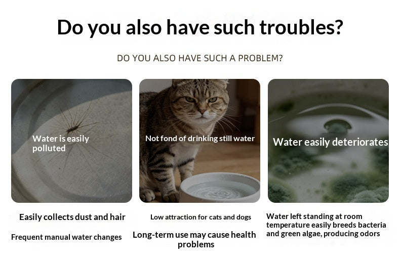 Wireless Smart Sensor Pet Water Fountain for Cats
