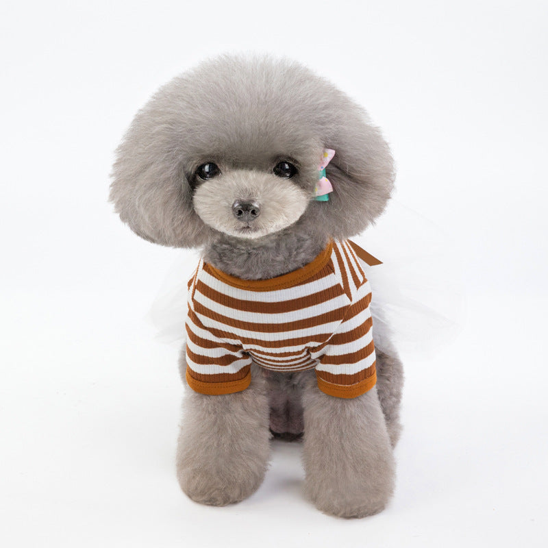 Cute Teddy Bear Small Dog Pet Clothes Outfit
