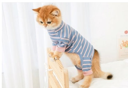 Four Legged Cat Clothes for Hairless British Shorthair Cats