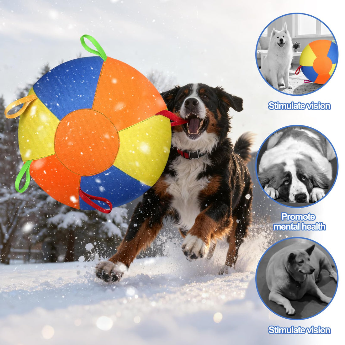 Herding Ball with Handles for Medium Large Dogs