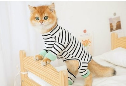 Four Legged Cat Clothes for Hairless British Shorthair Cats