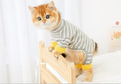 Four Legged Cat Clothes for Hairless British Shorthair Cats