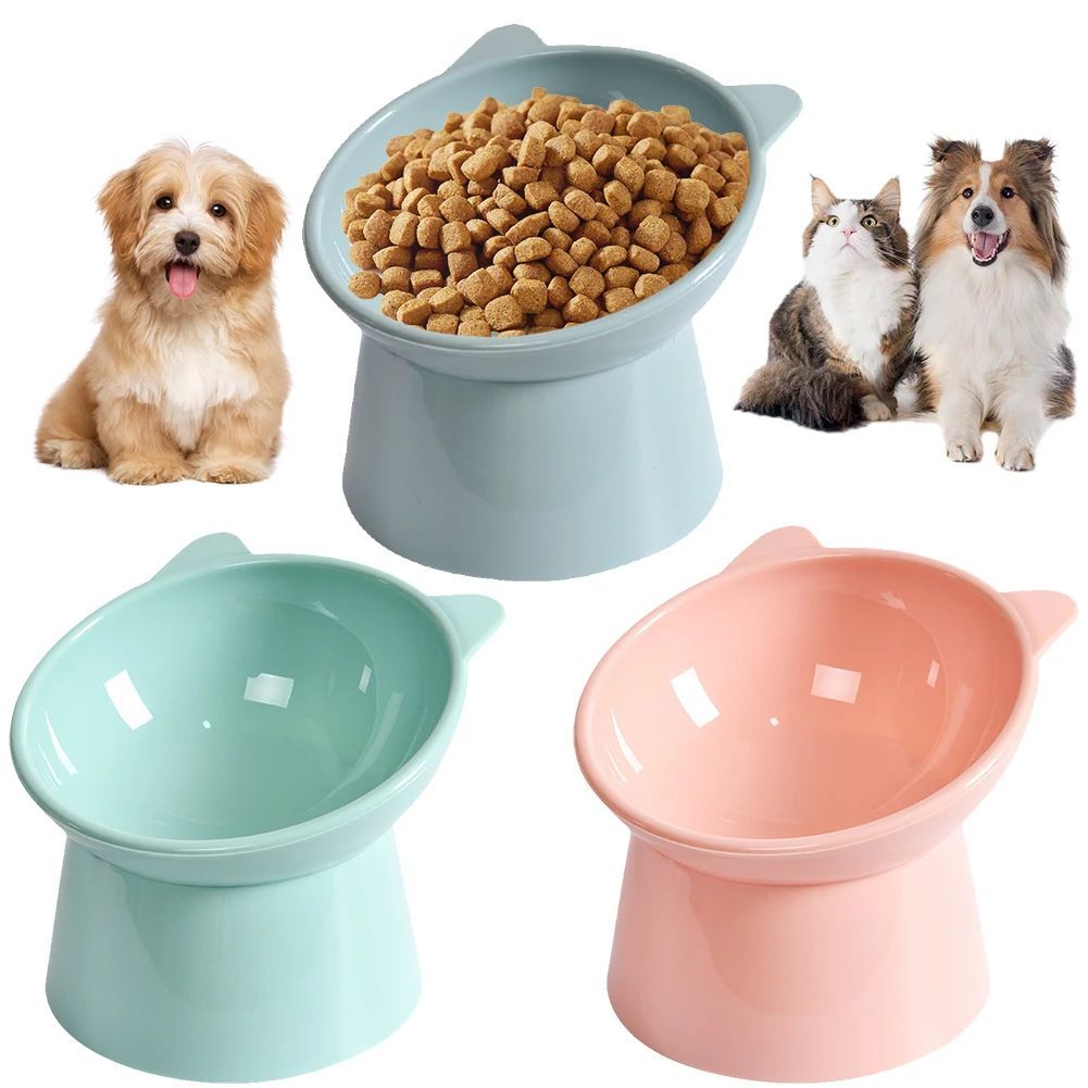 Elevated Tilted Cat Food Bowl Ergonomic Raised Feeder