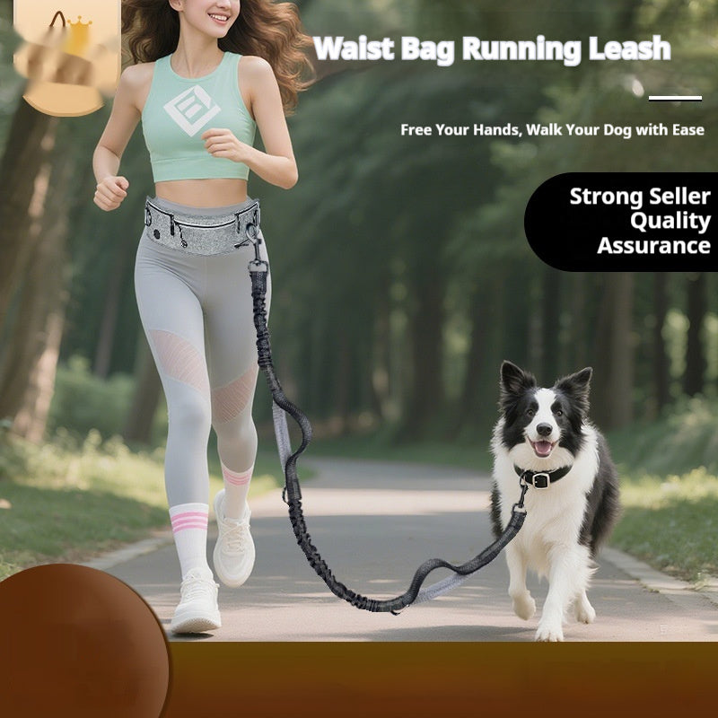 Reflective Multifunctional Retractable Pet Leash for Dogs