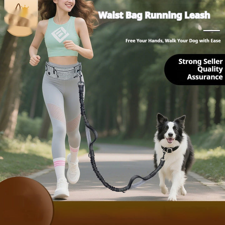 Reflective Multifunctional Retractable Pet Leash for Dogs
