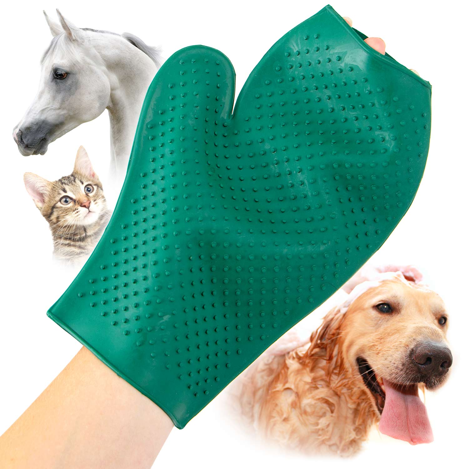 Jeffers Rubber Grooming Glove for Animals