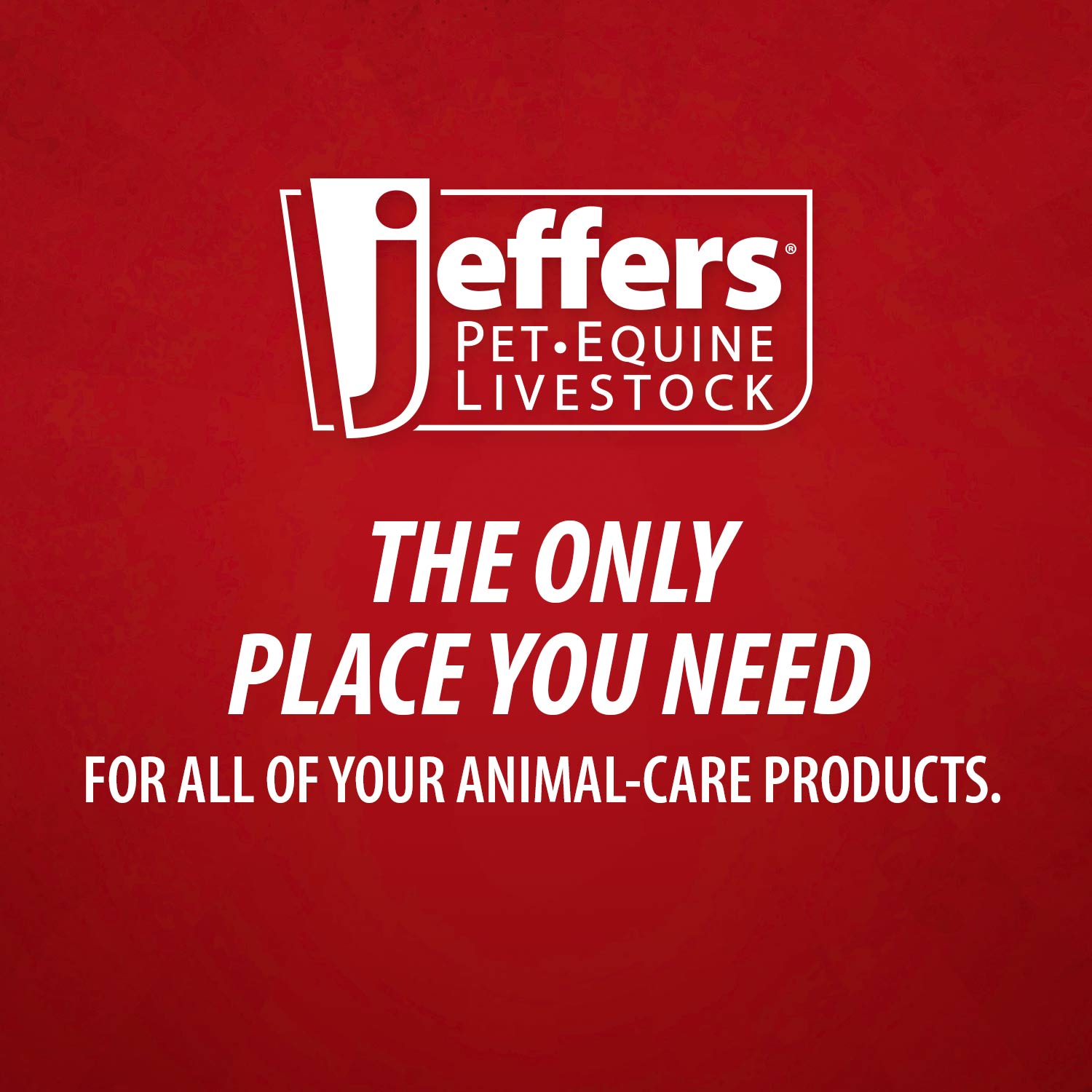 Jeffers Rubber Grooming Glove for Animals